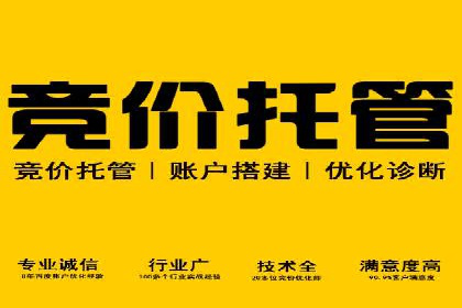 SEM运营公司成功案例解析